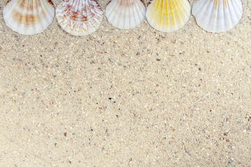 Travel background with sand and shells. Summer beach.