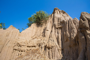 Fototapeta premium Land Texture with plant of soil erosion called earth pillar in Nan, Thailand