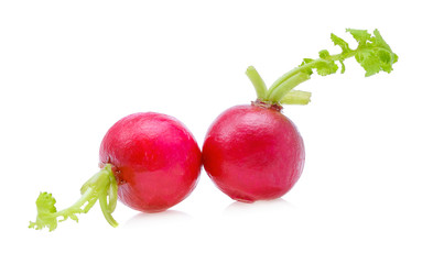 Small garden radish isolated on white