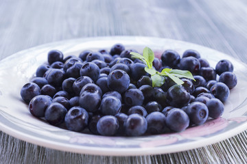 Close up photo of blueberries on the plate