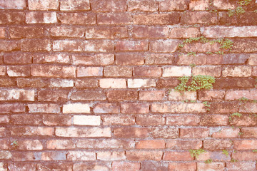 red brick wall background