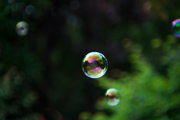 Soap Bubbles