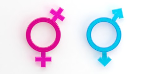 Same sex marriage sign. 3d illustration