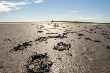 Fußspuren im Watenmeer