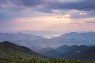 Majestic view of the woods glowing by sunlight at twilight. Dramatic and picturesque morning scene. Location place: Carpathian, Ukraine, Europe. Beauty world. Retro and vintage toning effect.