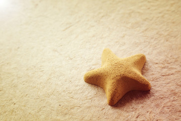 Fototapeta na wymiar stone starfish on mulberry paper texture
