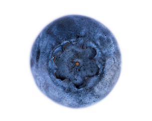 Fresh blueberries close-up of berry isolated on white background