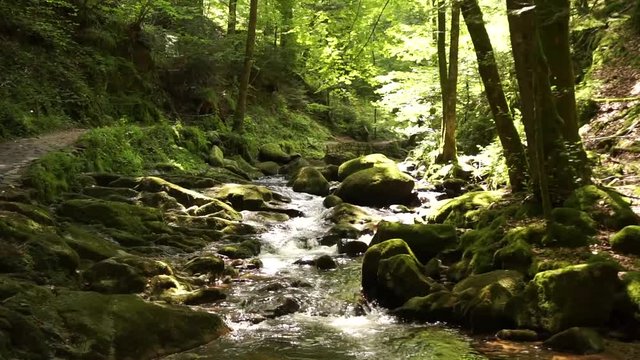 Das Grobbachtal im Schwarzwald mit Geroldsauer Wasserfall