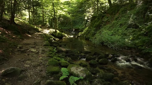 Das Grobbachtal im Schwarzwald mit Geroldsauer Wasserfall