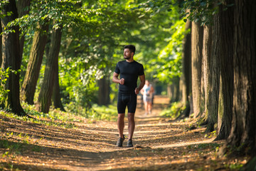 The athletic man run on the beautiful park alley