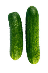 Cucumber isolated on white background