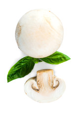 Mushrooms with basil leaves isolated on white background