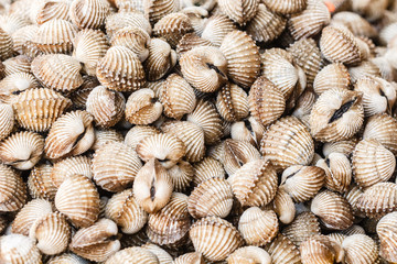 Fresh shellfish at Asian street market. Close-Up.