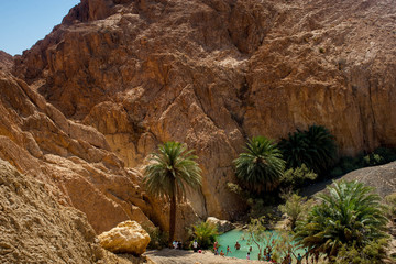 Tunisia. Oasis  Chebika