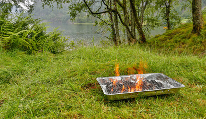 Single use grill