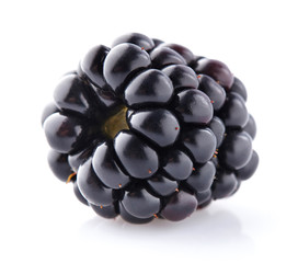 One blackberry