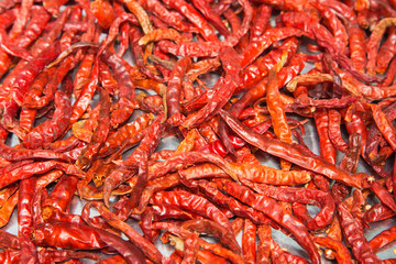 Red dried chilly on wooden table