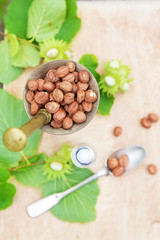 Lot of different chocolate, hazelnuts ingredients and oil in nature