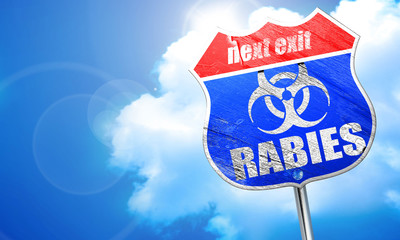 Rabies virus concept background, 3D rendering, blue street sign