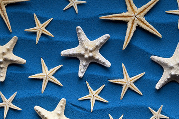 Starfishes on blue sand background