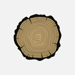 Cross section of tree stump isolated on white background. Vector illustration, eps 8.