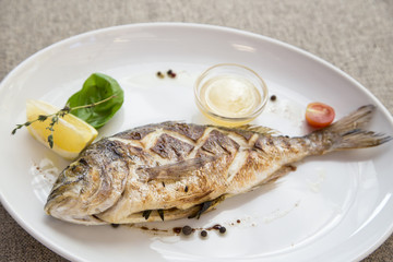 dorado grilled on a plate