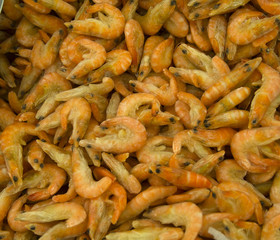 lot of shrimp
