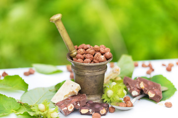 Lot of different chocolate, many variations hazelnuts ingredients in nature