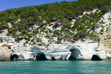 The coast of Gargano National park on Puglia