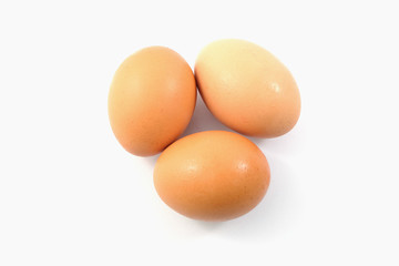 eggs on white background