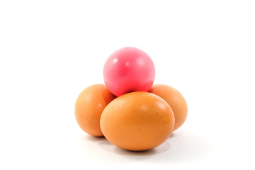 eggs on white background