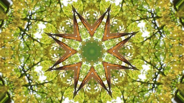 Fondo Mosaico fractal geometrico kaleidoscopico con textura de naturaleza vegetal
