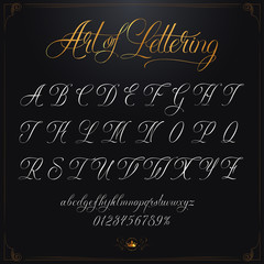 Art of Lettering Gold set