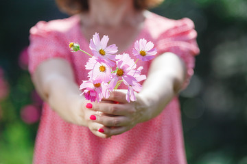 Woman hands holding a flower in green meadow