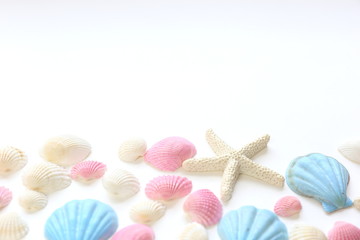 夏のイメージ　貝殻