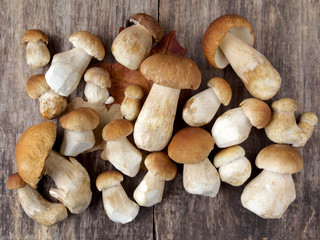 Mushroom Boletus over Wooden Background