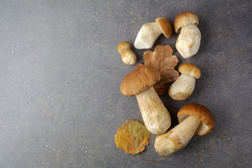 Boletus edulis mushrooms