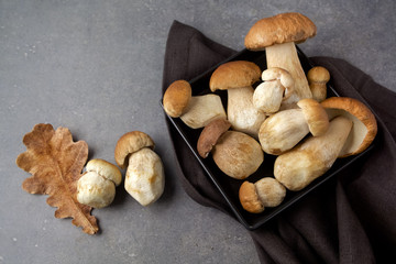 Boletus edulis mushrooms