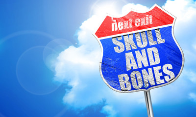 skull and bones, 3D rendering, blue street sign