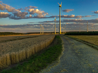 Fototapeta na wymiar Windmills on the field during the sunset