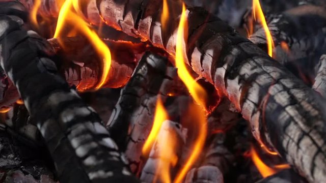 Slow motion video of camp fire. Shot at 240p. Full hd stock footage clip.
