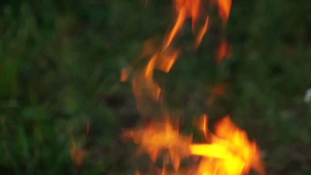 Slow motion video of camp fire. Camera moving up. Shot at 240p. Full hd stock footage clip.
