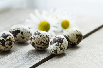 quail eggs on the kitchen table, eating healthy