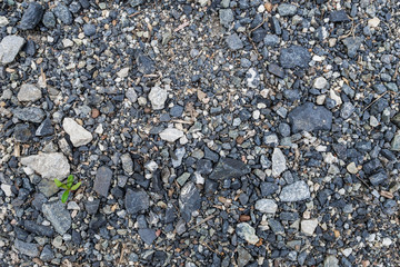 Stone or rock on ground.