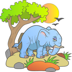 elephant
