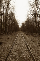 Fototapeta premium Abandoned railroad in the woods.