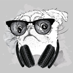 Pug in glasses and headphones. Vector illustration.