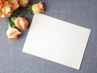 Blank old greeting card with orange rose flowers