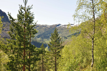 Naeroydalen valley / The Naeroydalen valley is one of the beautiful views in all of Norway.
