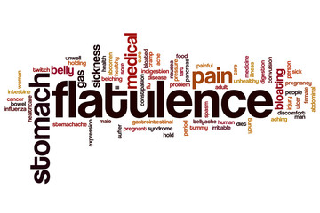 Flatulence word cloud concept